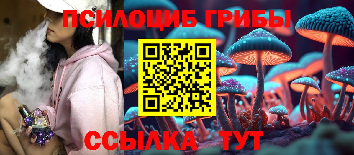 Псилоцибиновые грибы ЛСД Сатка