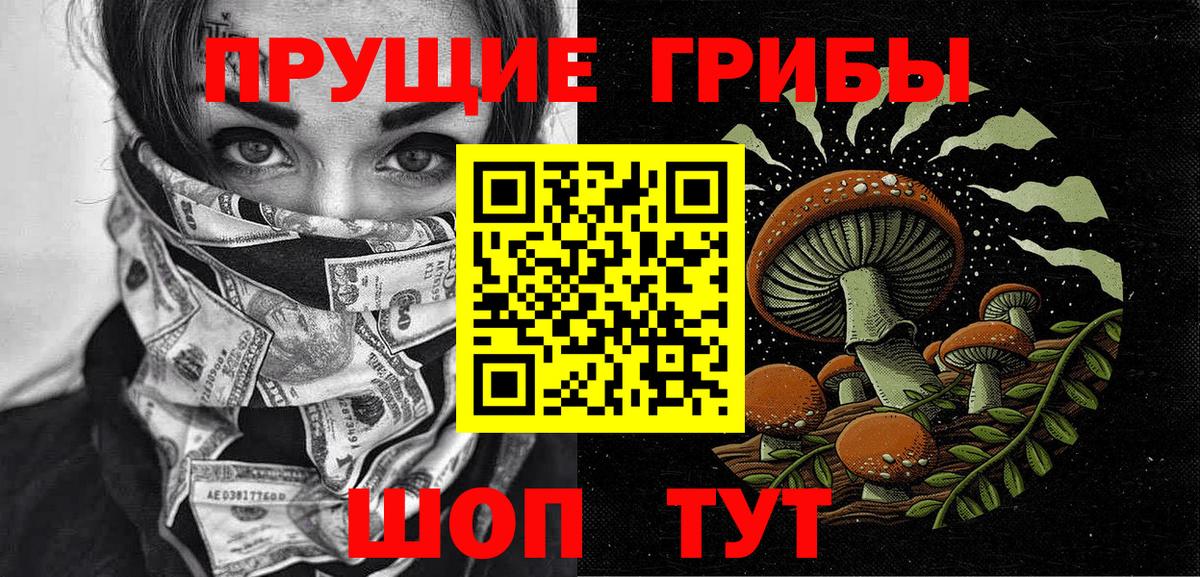 Сатка  Псилоцибиновые грибы MAGIC MUSHROOMS  где найти наркотики  Вход с VPN 